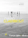 David Claerbout vignette